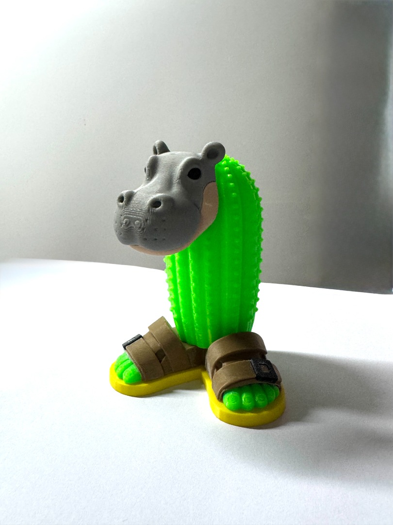 Il Cacto Hipopotamo